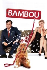 Bambou 2009 on netflix