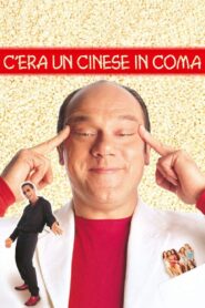 C’era un cinese in coma 2000 on netflix