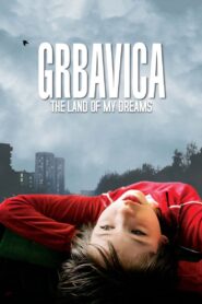 Grbavica: The Land of My Dreams 2006 on netflix
