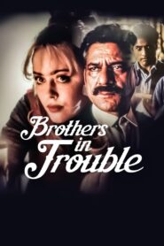 Brothers in Trouble 1995 on netflix