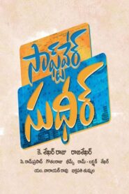 Software Sudheer 2019 on netflix