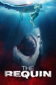 The Requin 2022 on netflix