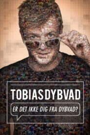 Tobias Dybvad: Er det ikke dig fra Dybvad? 2015 on netflix
