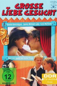 Große Liebe gesucht 1989 on netflix