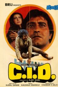 C.I.D. 1990 on netflix