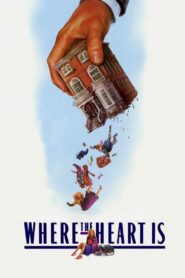 Where the Heart Is 1990 on netflix