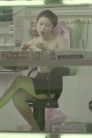 Birdland 2001 on netflix