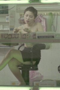 Birdland 2001 on netflix