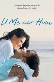 U Me Aur Hum 2008 on netflix