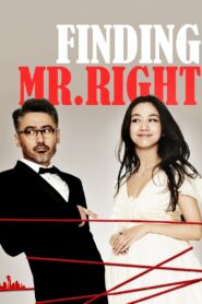 Finding Mr. Right 2013 on netflix
