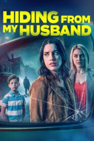 Hiding from My Husband 2023 on netflix