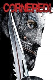 Cornered! 2009 on netflix