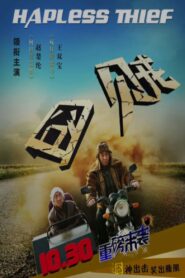 囧贼 2015 on netflix