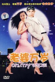 Oh My Wife! 2005 on netflix