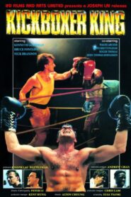 Kickboxer King 1991 on netflix