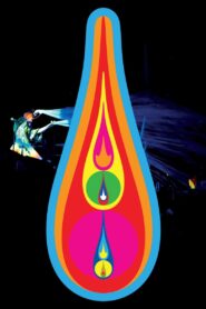 Björk: Voltaïc 2009 on netflix