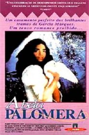 Fable of the Beautiful Pigeon-Fancier 1990 on netflix