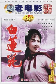 白莲花 1980 on netflix