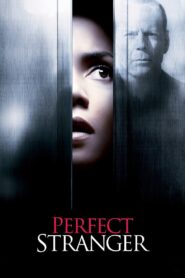 Perfect Stranger 2007 on netflix