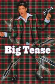 The Big Tease 1999 on netflix