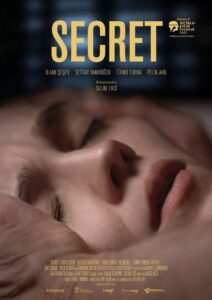 Secret 2015 on netflix