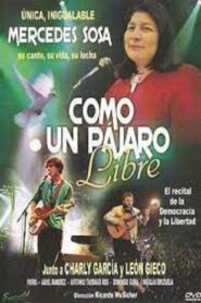 Mercedes Sosa: como un pájaro libre 1983 on netflix
