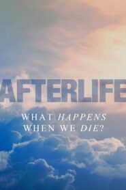 Afterlife 2011 on netflix