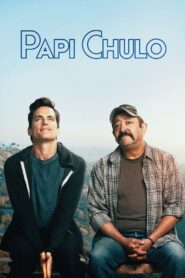 Papi Chulo 2019 on netflix