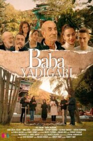 Baba Yadigarı 2022 on netflix
