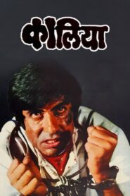 Kaalia 1981 on netflix
