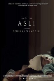 Commitment Aslı 2019 on netflix