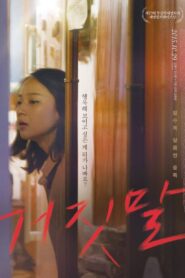 The Liar 2015 on netflix