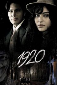 1920 2008 on netflix
