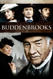 Buddenbrooks 2008 on netflix