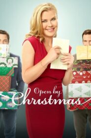 Open by Christmas 2021 on netflix