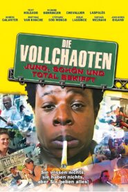 Young, Beautiful and Screwed Up 2003 on netflix