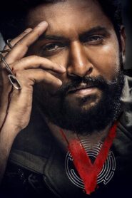 V 2020 on netflix