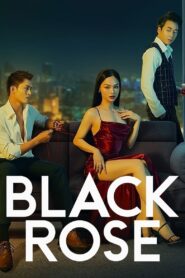 Black Rose 2023 on netflix