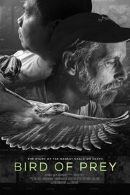 Bird of Prey 2018 on netflix
