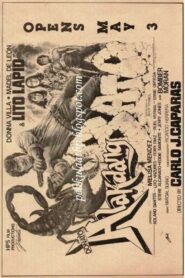 Alakdang Bato 1984 on netflix
