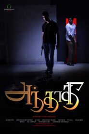 Andhadhi 2015 on netflix