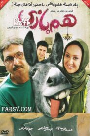 The Playfellow 2006 on netflix