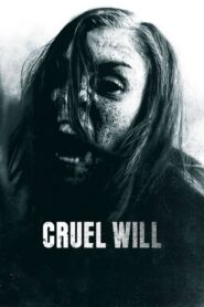 Cruel Will 2013 on netflix