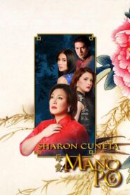 Mano Po 6: A Mother’s Love 2009 on netflix