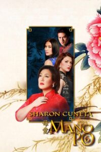 Mano Po 6: A Mother’s Love 2009 on netflix