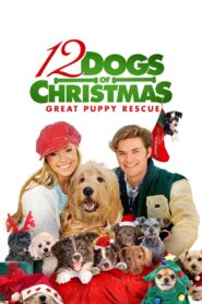 12 Dogs of Christmas: Great Puppy Rescue 2012 on netflix