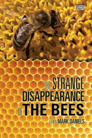 The Strange Disappearance of the Bees 2010 on netflix