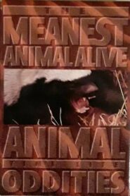 Time Life Animal Oddities: The Meanest Animal Alive 1995 on netflix
