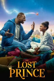 The Lost Prince 2020 on netflix