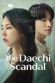 The Daechi Scandal 2024 on netflix